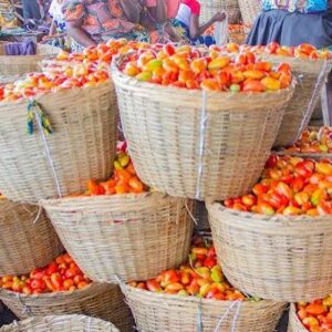 Légumes fraiches de la ferme - panier de 5 kg
