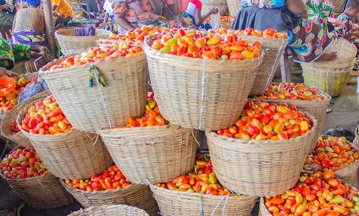 Légumes fraiches de la ferme - panier de 5 kg